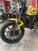 Ducati Scrambler 800 Icon (2021 - 22) (9)