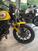 Ducati Scrambler 800 Icon (2021 - 22) (10)