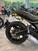 Ducati Scrambler 800 Icon (2021 - 22) (6)