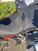 Ducati Multistrada V4 Rally (2023 - 25) (9)