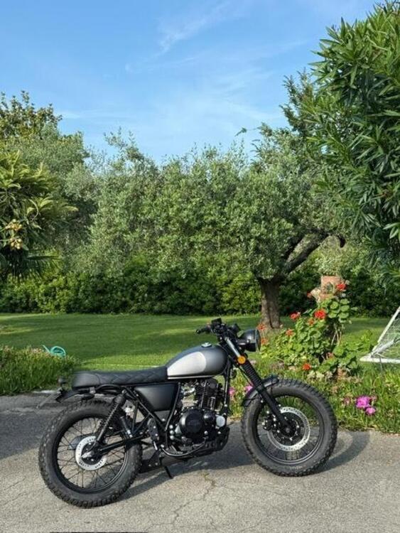 Mutt Motorcycles Fat Sabbath 250 (2021 - 23) (5)