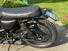 Mutt Motorcycles Fat Sabbath 250 (2021 - 23) (6)