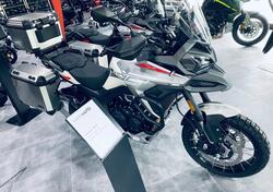 Morbidelli T1002VX (2024 - 25) nuova