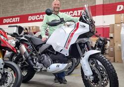 Ducati DesertX (2022 - 25) usata
