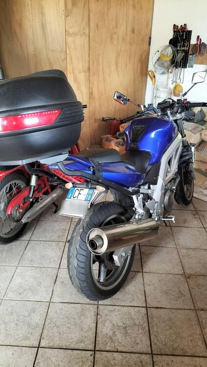 Suzuki SV 650 (2003 - 06) (2)