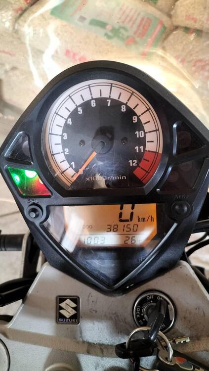 Suzuki SV 650 (2003 - 06) (3)