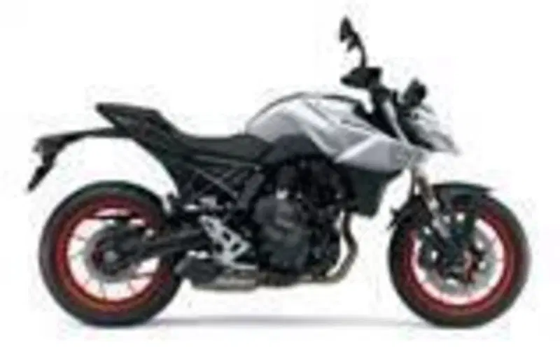 Suzuki GSX-8S (2023 - 24)