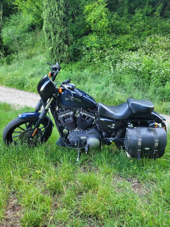 Harley-Davidson 883 Iron (2012 - 14) - XL 883N