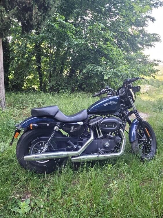 Harley-Davidson 883 Iron (2012 - 14) - XL 883N (2)