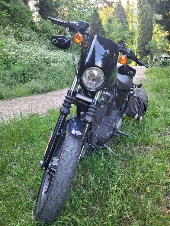 Harley-Davidson 883 Iron (2012 - 14) - XL 883N (3)