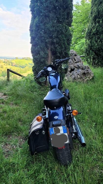 Harley-Davidson 883 Iron (2012 - 14) - XL 883N (4)