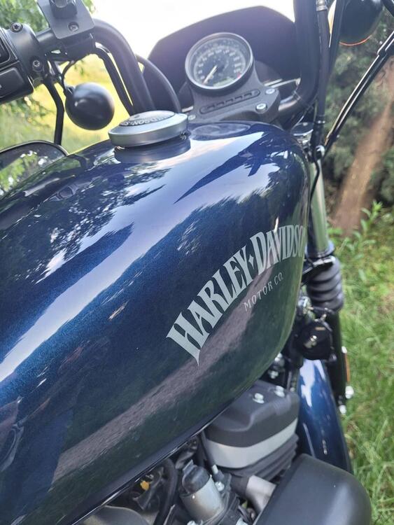 Harley-Davidson 883 Iron (2012 - 14) - XL 883N (5)