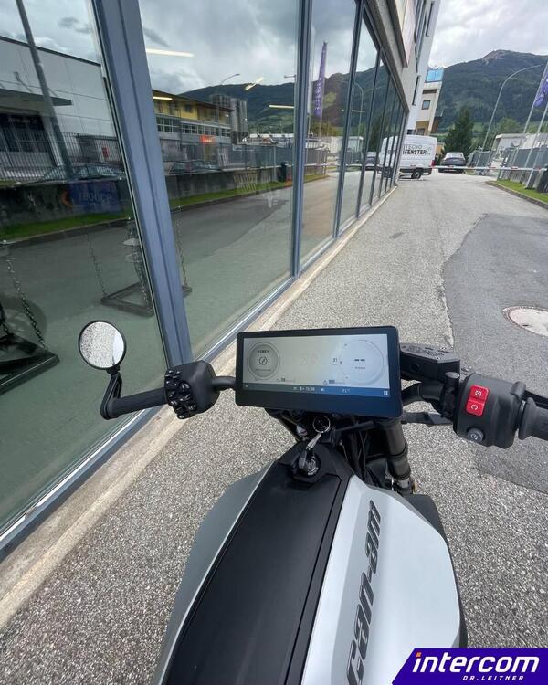 Can-Am Brp Pulse '73 (2025) (3)