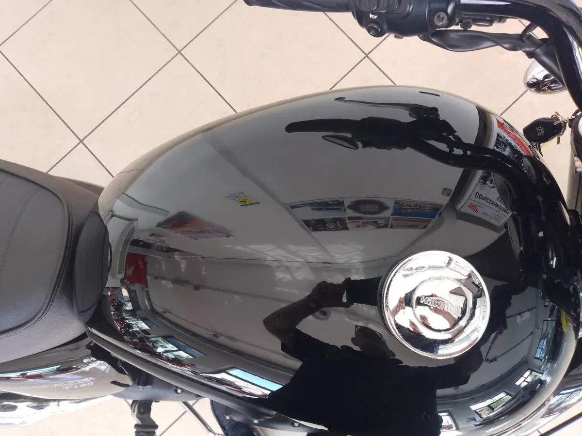 Triumph Bonneville T100 (2008 - 16) (5)