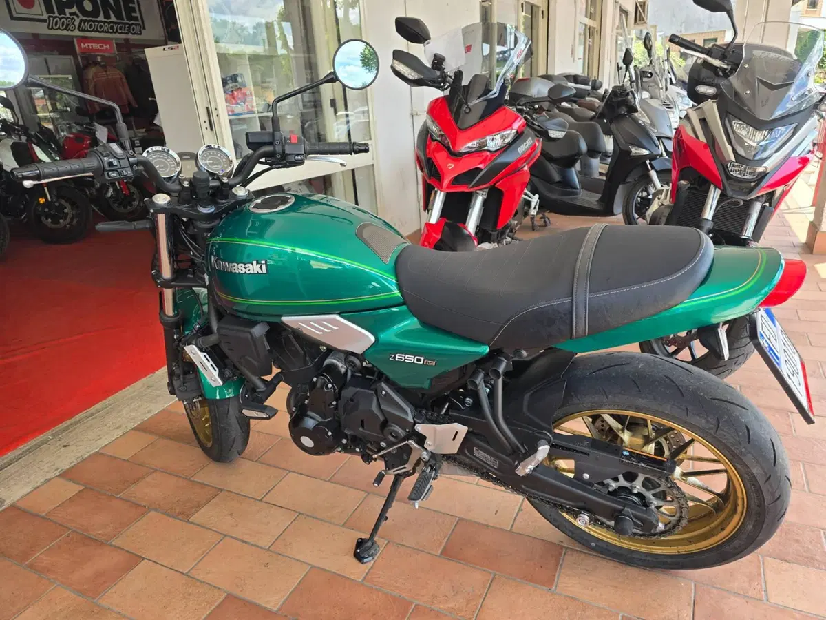 Kawasaki Z 650 RS (2022 - 24) (7)