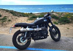 Triumph Scrambler (2006 - 17) usata