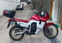 Honda Transalp XL 600V (1987 - 90) usata
