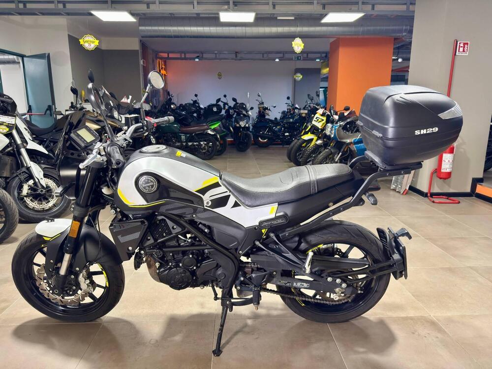 Benelli Leoncino 250 (2021 - 25) (4)