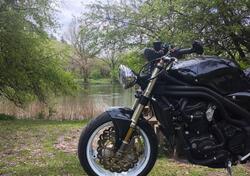 Triumph Speed Triple 955 (1998 - 01) usata