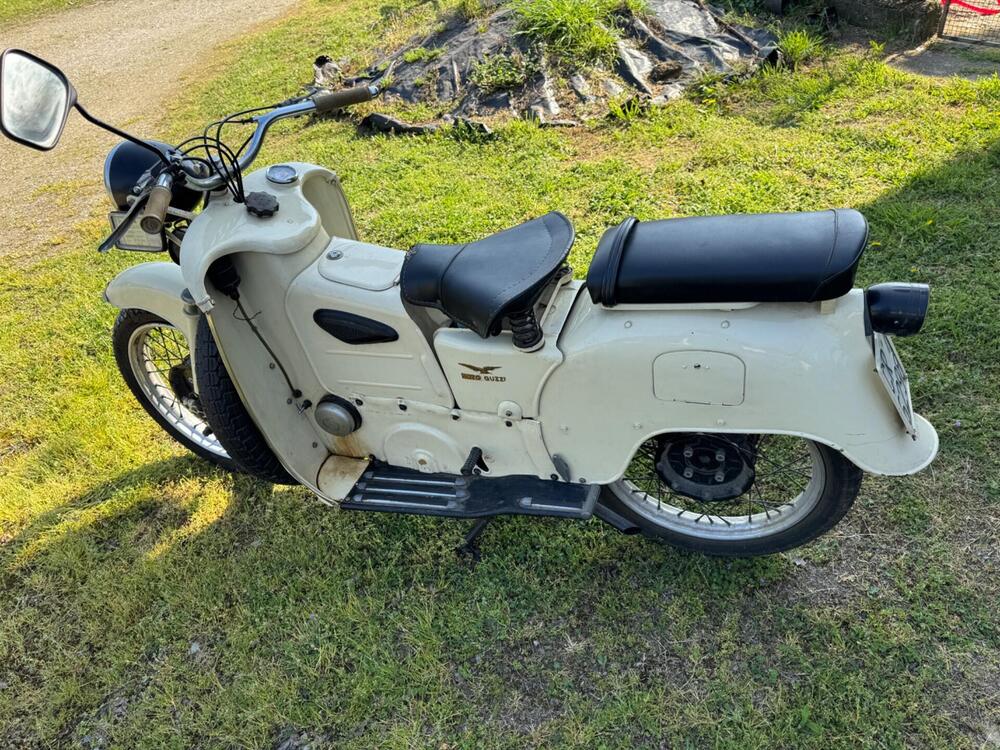 Moto Guzzi galletto 192 (3)