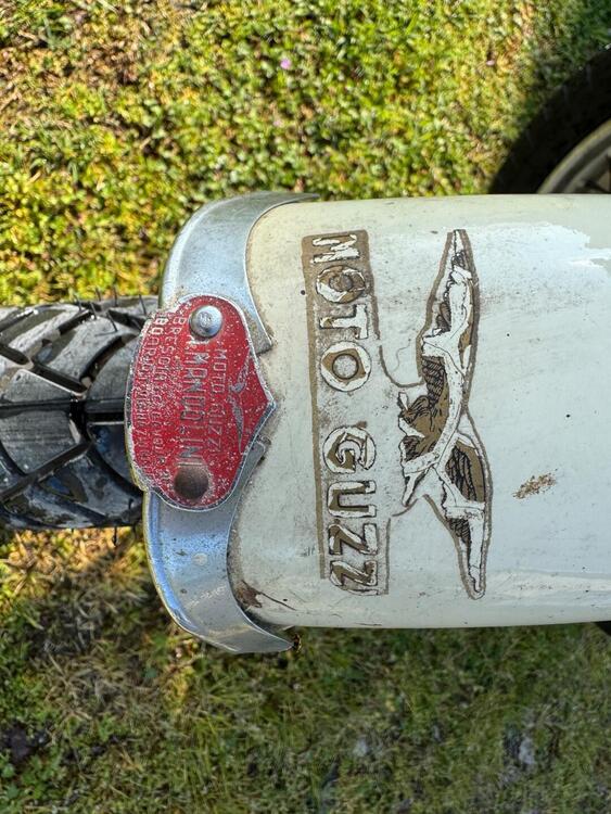 Moto Guzzi galletto 192 (4)