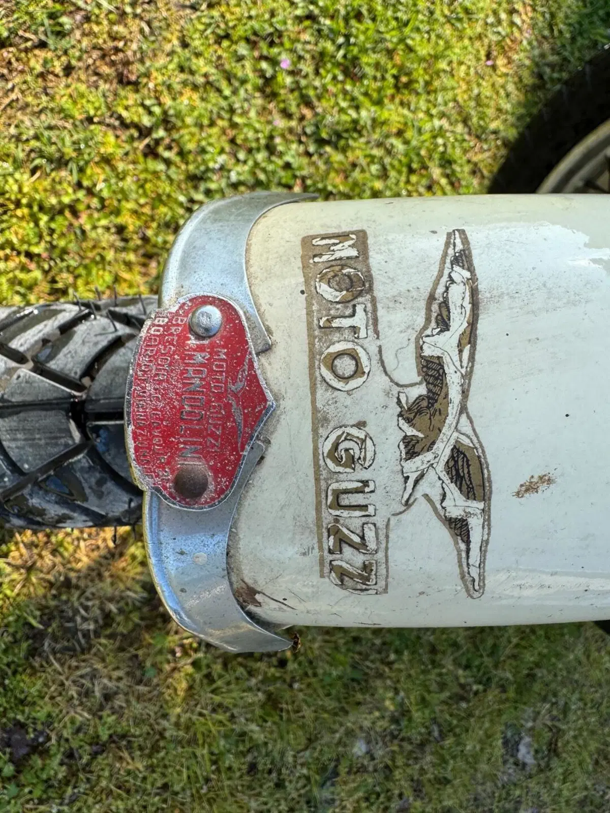 Moto Guzzi galletto 192 (4)