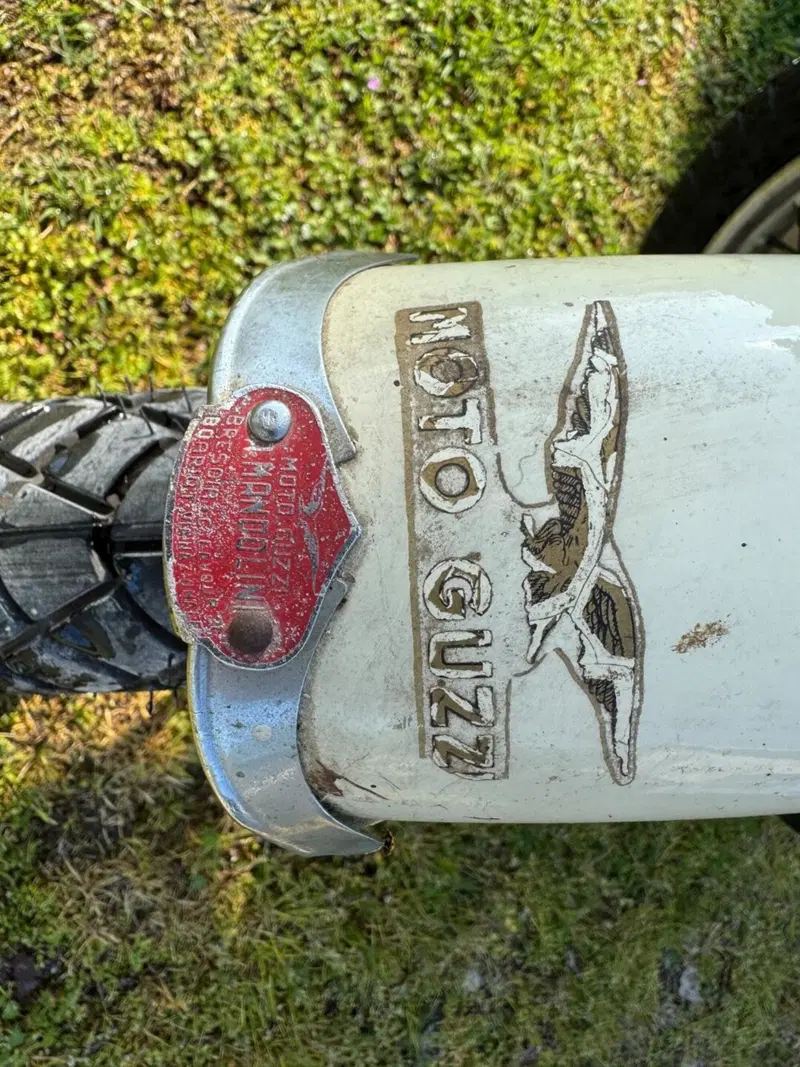 Moto Guzzi galletto 192 (4)