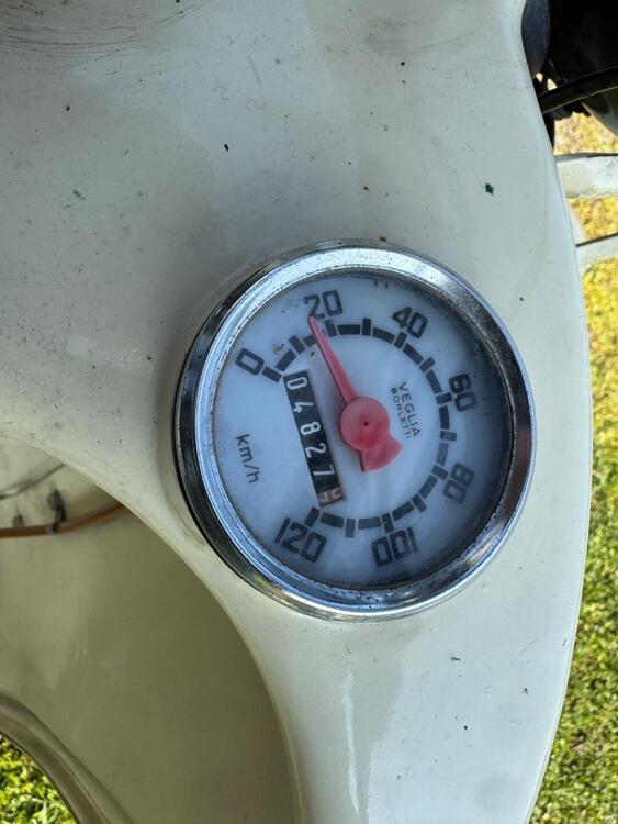 Moto Guzzi galletto 192 (5)