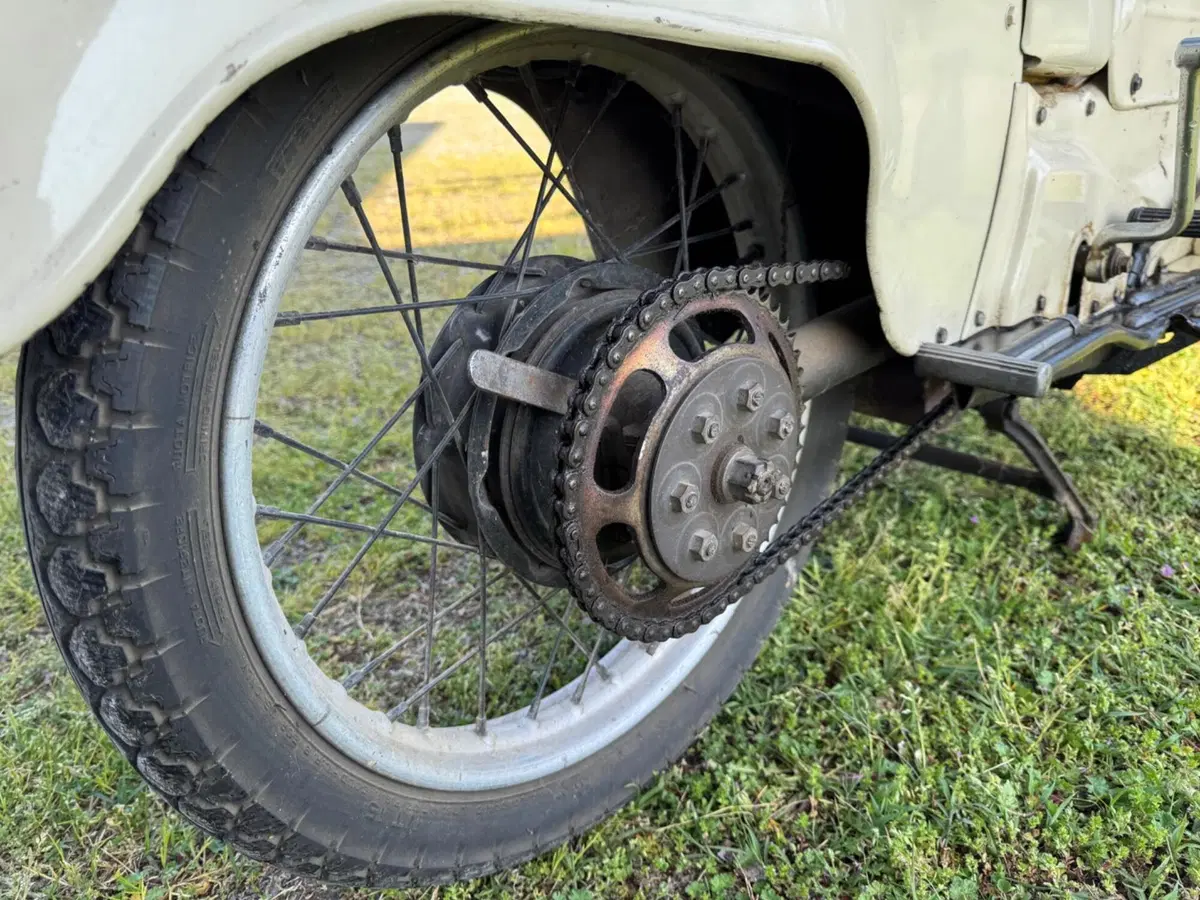 Moto Guzzi galletto 192 (9)