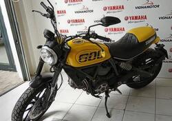 Ducati Scrambler 800 Icon (2015 - 16) usata