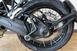 Bmw R 1300 GS Trophy (2023 - 25) (12)