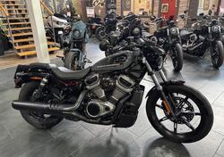 Harley-Davidson Nightster (2023 - 25) usata