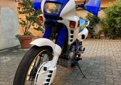 Honda NX650 Dominator d'epoca
