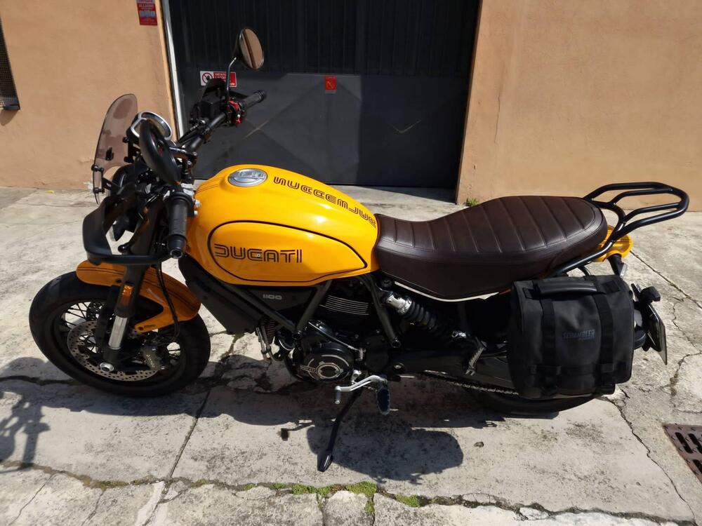 Ducati Scrambler 1100 Tribute Pro (2022 - 24) (5)