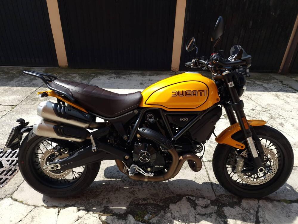 Ducati Scrambler 1100 Tribute Pro (2022 - 24)