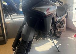 Honda Transalp XL750 (2023 - 24) usata