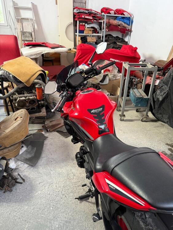 Kawasaki Z 650 50th Anniversary (2022 - 23) (3)