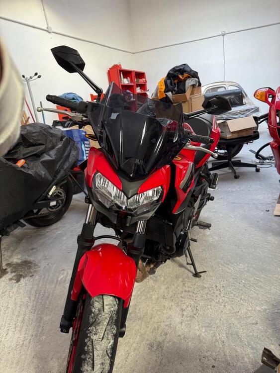 Kawasaki Z 650 50th Anniversary (2022 - 23) (5)