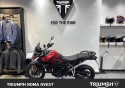 Triumph Tiger 900 GT (2024 - 25) usata