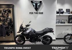 Triumph Tiger 900 GT (2024 - 25) usata