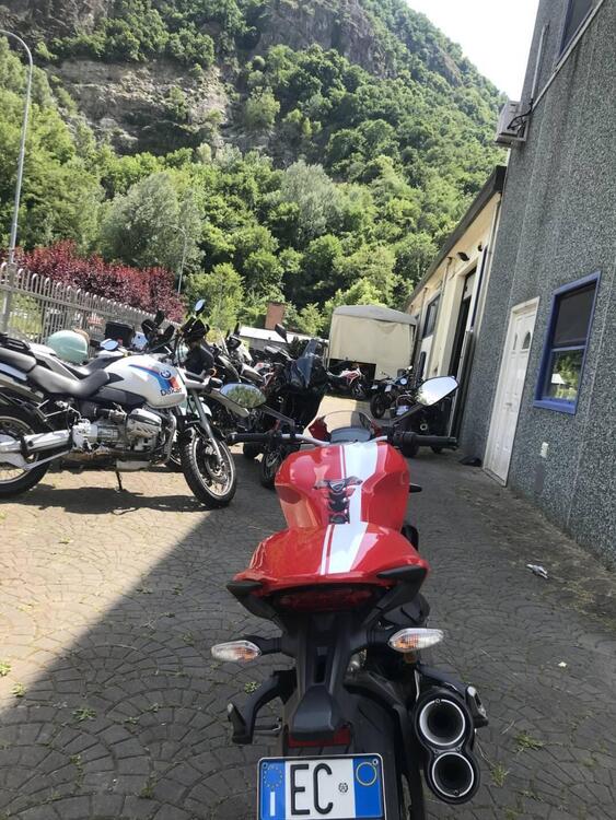 Ducati Monster 821 Stripe ABS (2015 - 17) (4)