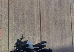 CFMOTO 800NK Advanced (2023 - 25) nuova