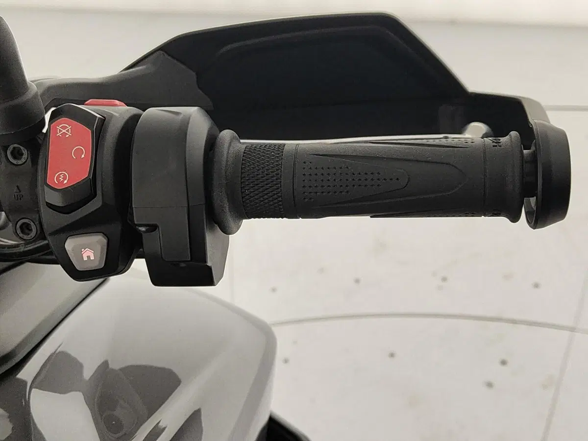 Triumph Tiger 900 GT Pro (2024 - 26) (9)