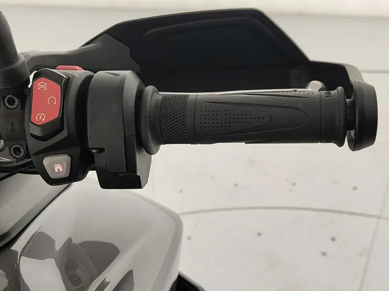 Triumph Tiger 900 GT Pro (2024 - 26) (9)