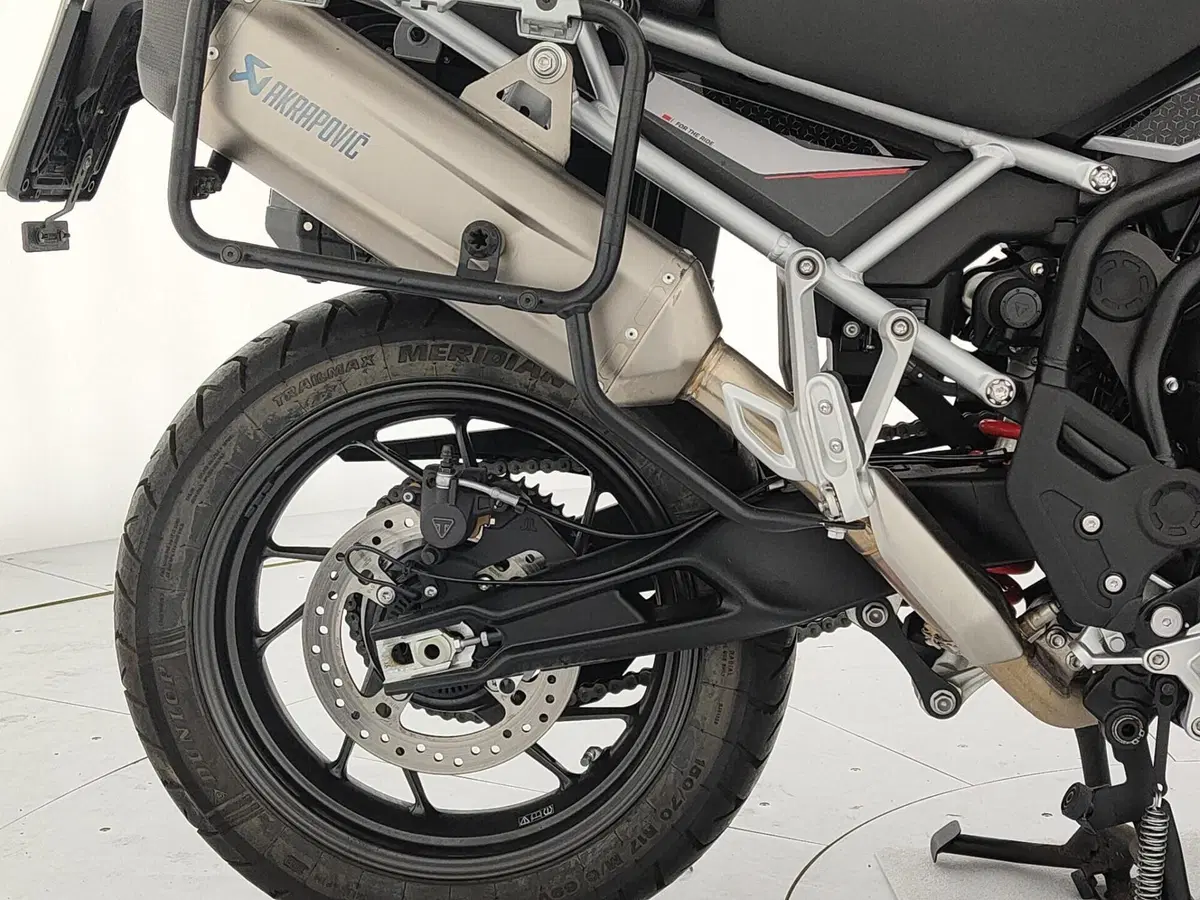 Triumph Tiger 900 GT Pro (2024 - 26) (13)