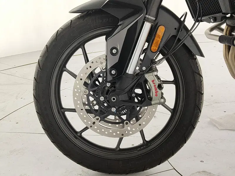 Triumph Tiger 900 GT Pro (2024 - 26) (11)