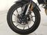 Triumph Tiger 900 GT Pro (2024 - 25) (11)