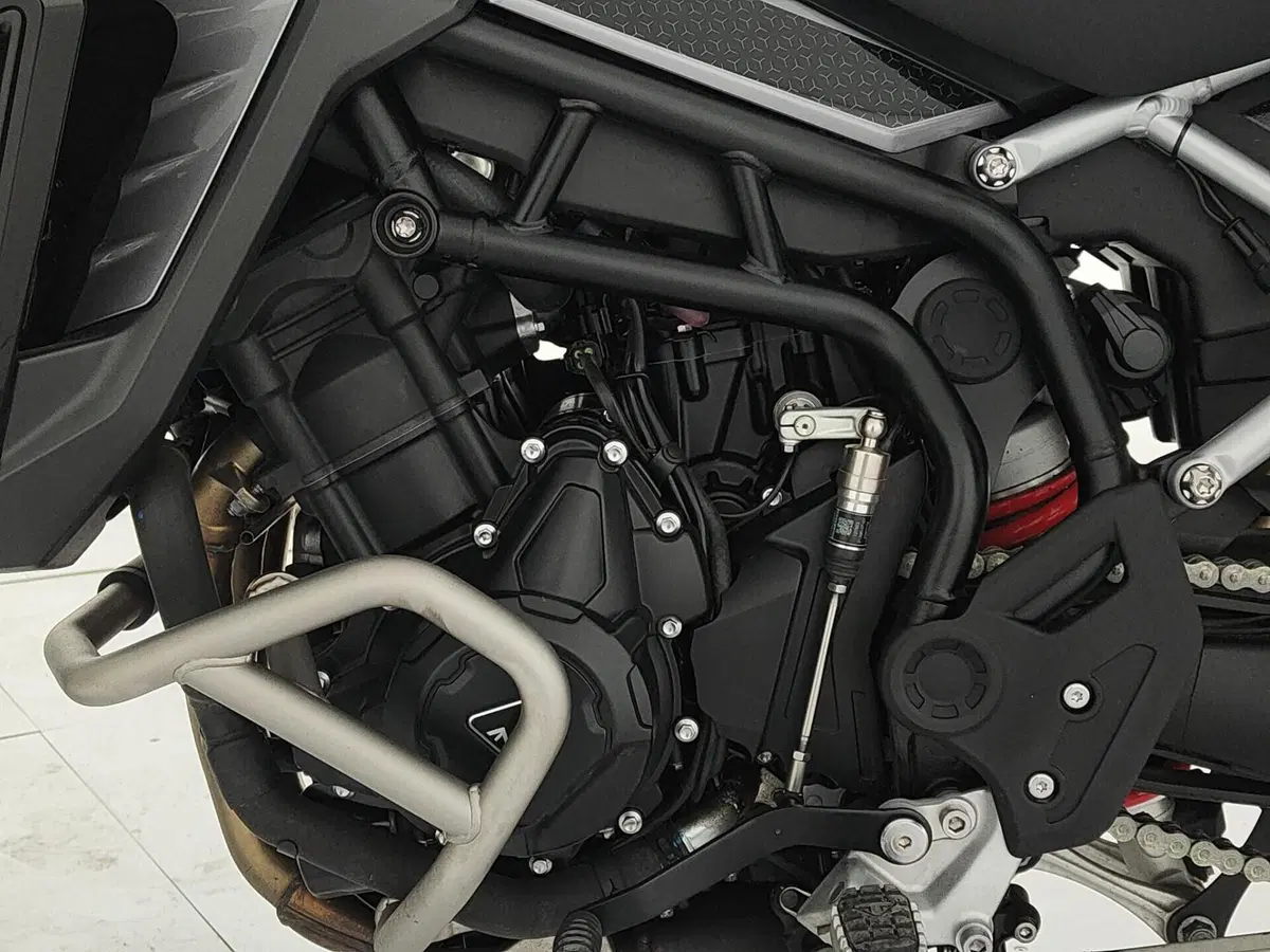 Triumph Tiger 900 GT Pro (2024 - 26) (12)