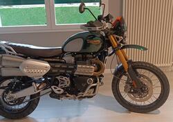 Triumph Scrambler 1200 Steve McQueen Edition (2021 - 22) usata