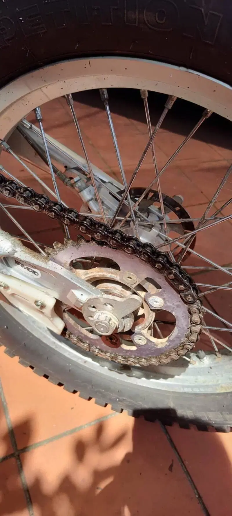 Scorpa SY 250 Long-Ride (5)